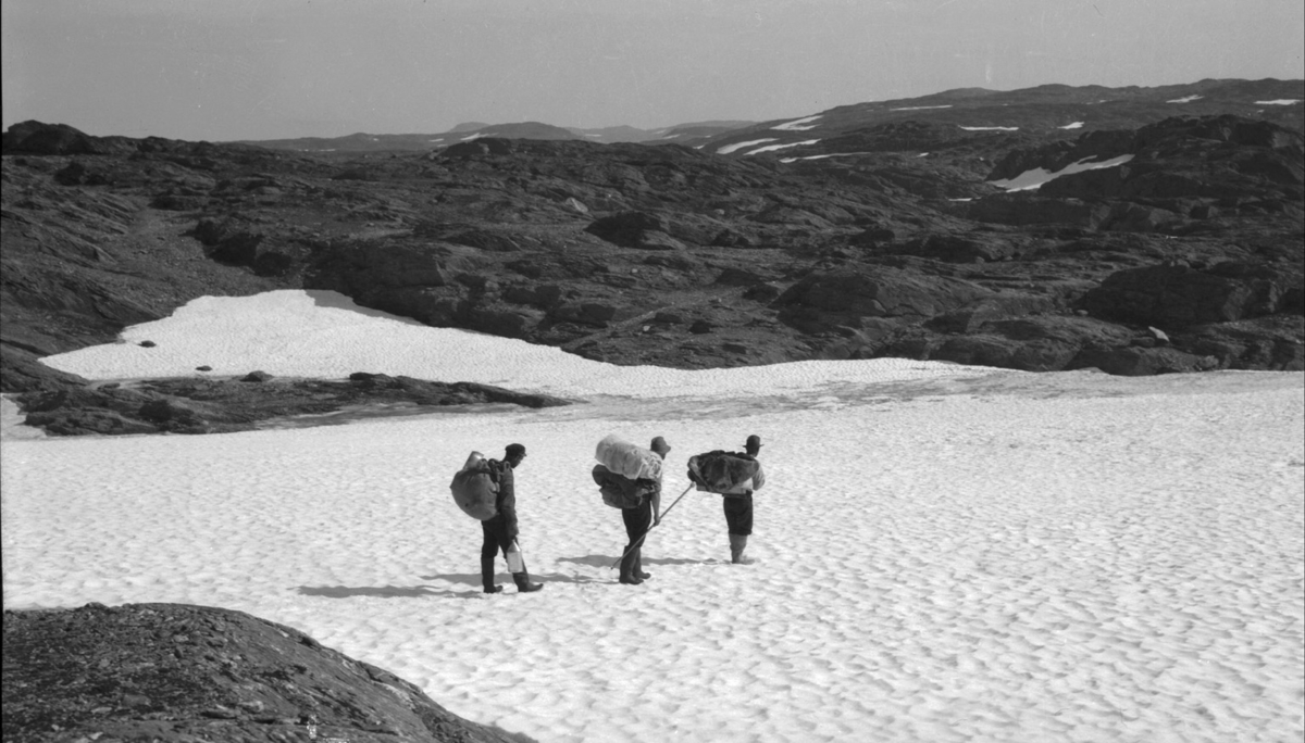 Anleggsarbeidarar på snøbre, mellom Hallagrøen og Tyssevann.