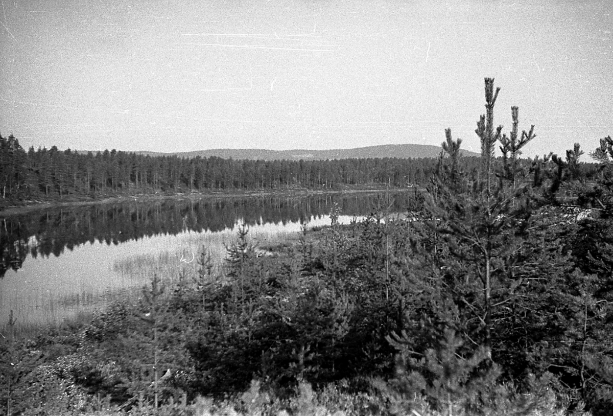Landskap
