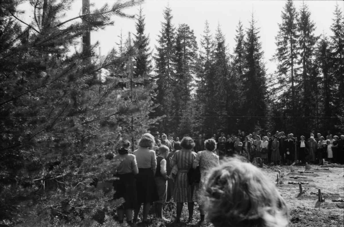 Avduking av krigsbauta, Våler