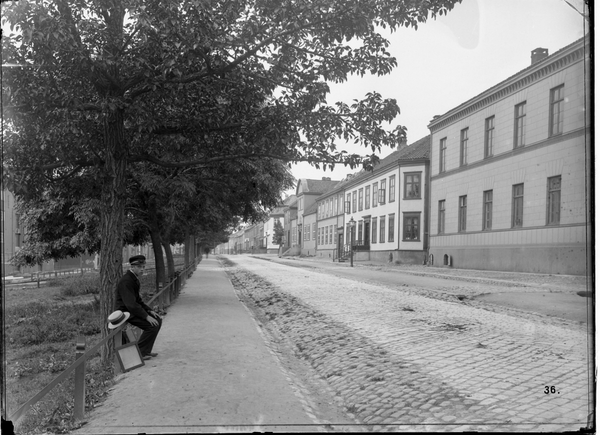 Kjøpmannsgata mellom Olav Tryggvasons gate og Dronningens gate