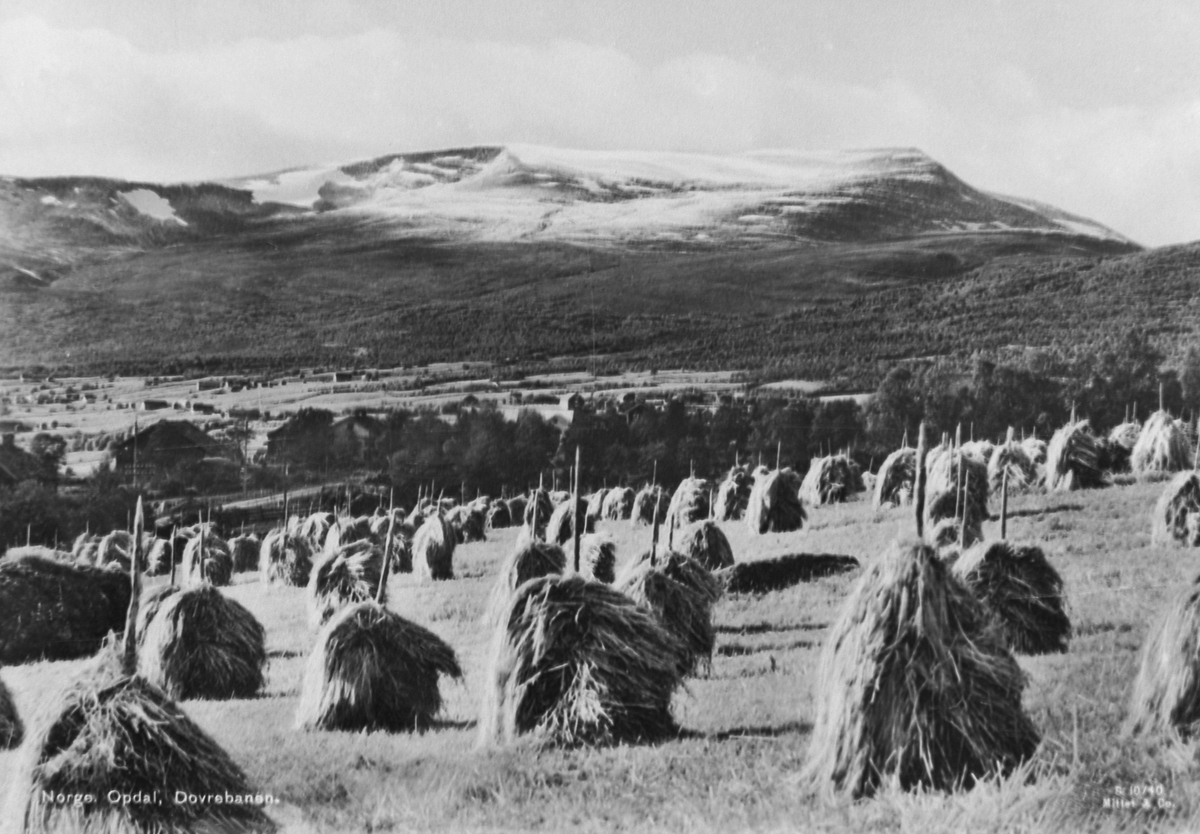 Utsikt fra Dovrebanen i Oppdal (kopi)