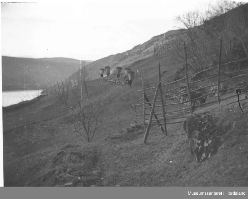 Havrå.Folk med laukiper på ryggen oppetter bakkane. Trehesjer. Fjord.