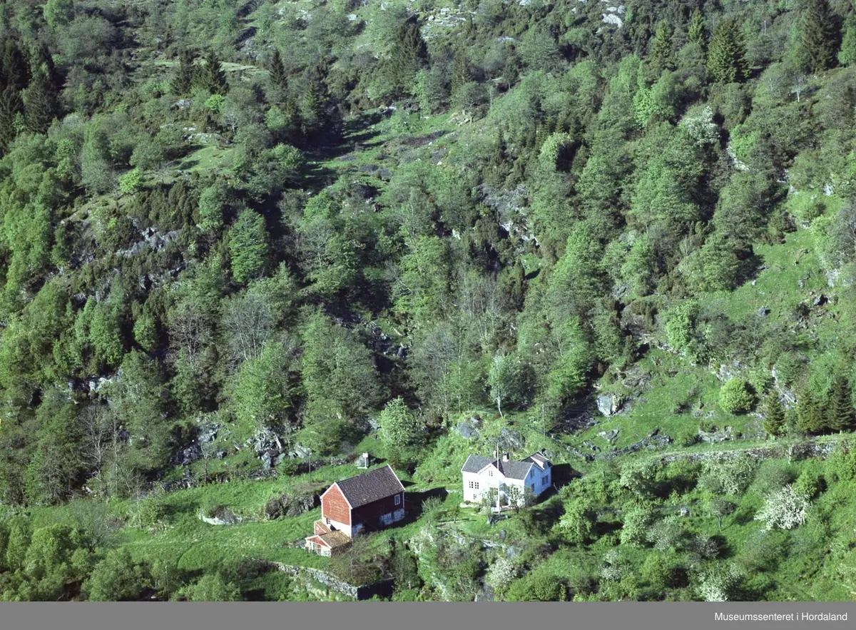 Gardstun, kulturlandskap, steingardar