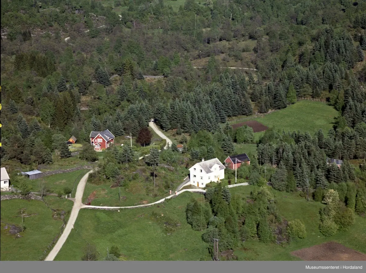 Gard, veg, skog, innmark