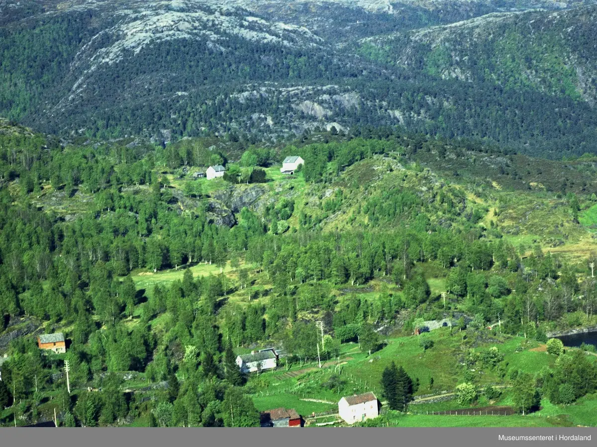 Eldre gardar mot fjellet