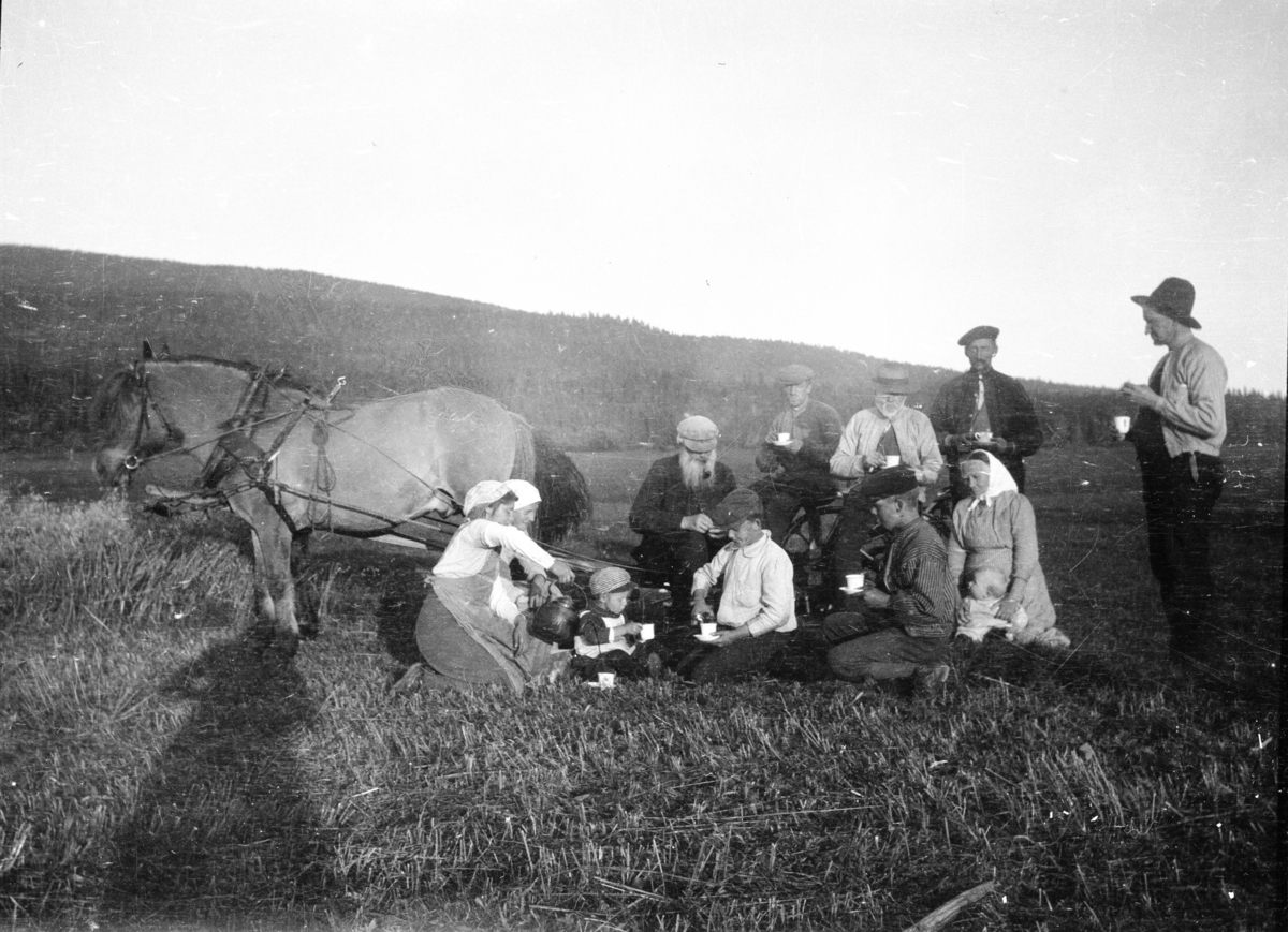 Nordre Rustad
