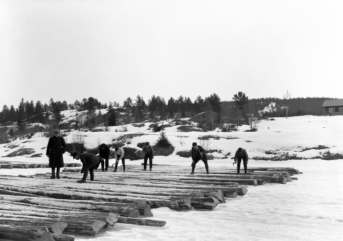 Ringsaker og Nes Almenning, Moelv, skogbruk, gruppe menn i arbeide, tømmermåling og merking, nybarket tømmer på Mjøsisen klar for fløting til våren