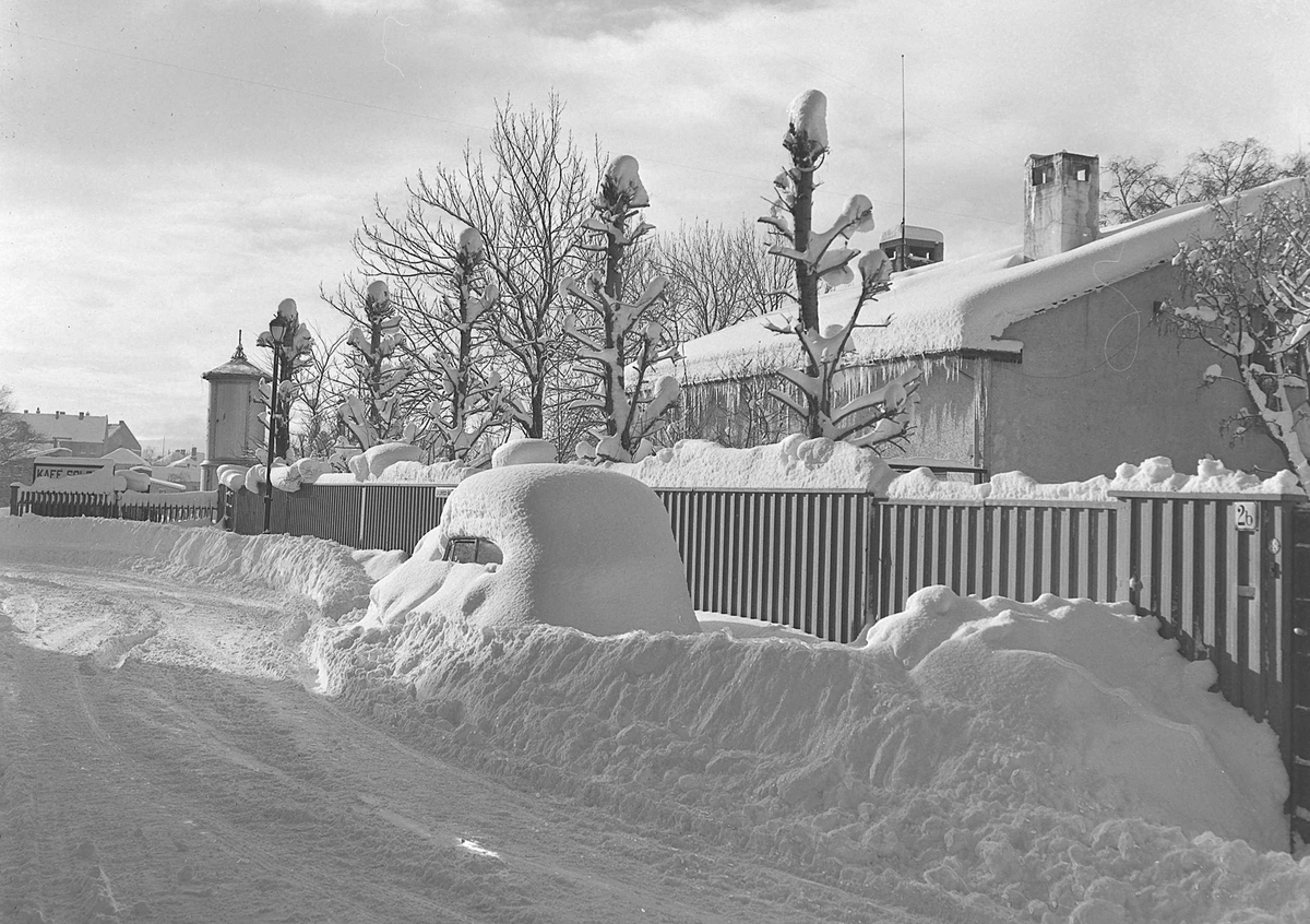 Vinter i Sverres gate