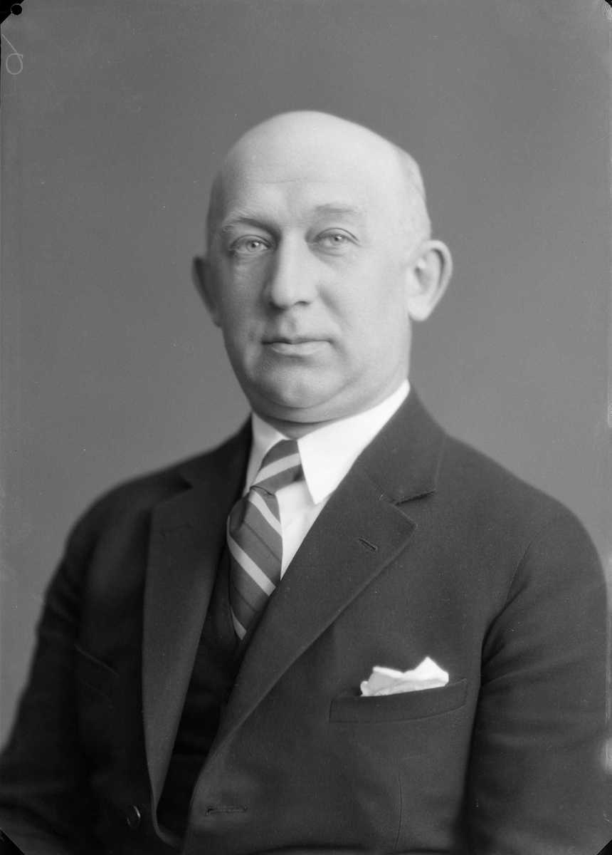 Redaktør Harald Torp