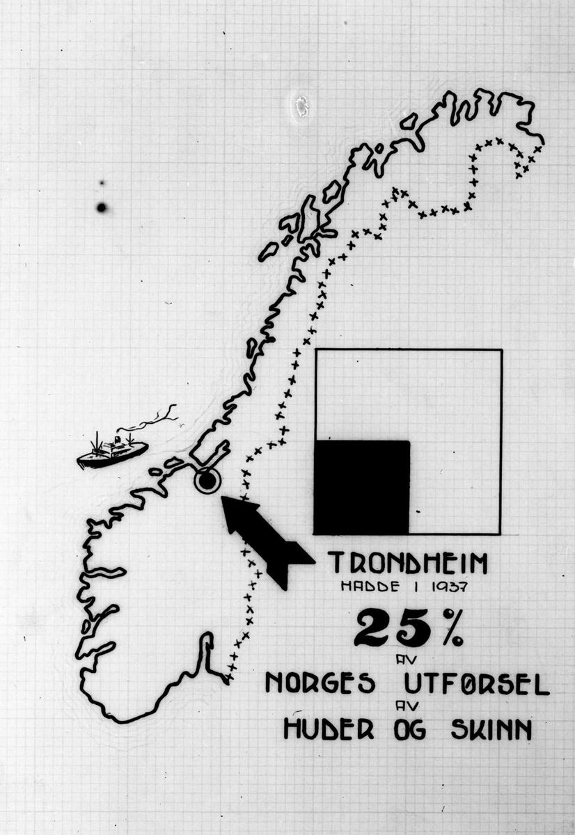 Grafisk fremstilling av Trondheims eksport av huder og skinn