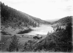 Oppland, Nord-Fron kommune, Dalstjønna, Steinhaugsætra i for