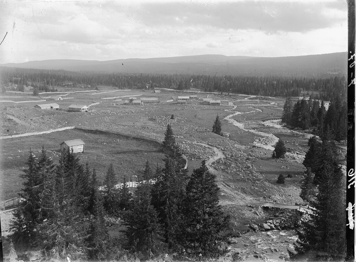 Ringsaker, Ringsakfjellet - Øyerfjellet, Gammelskolla seter for gardene Løken, Bogsti og Bårdset nedre, skille mellom Philske og Øyer, sterløkker, seterhus, setergrend,