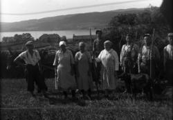 Ringsaker, Ring, ukjent gruppe under høyonna, slåttonna på S