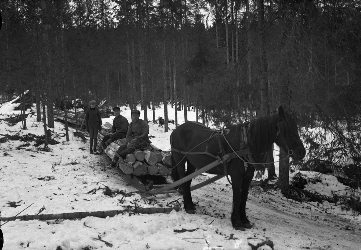 Ringsaker, Fossmarka, tømmerlunning med bukk og geit, tømmerkjøring, Bernt Kjelsmoen sitter først lasset,