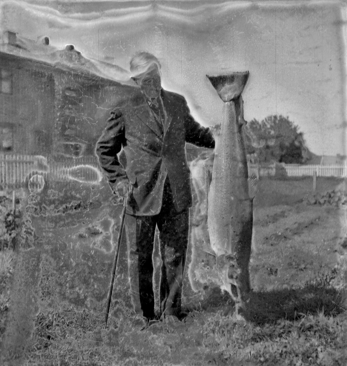 Even Pedersen Wollan med laks på 25 kilo