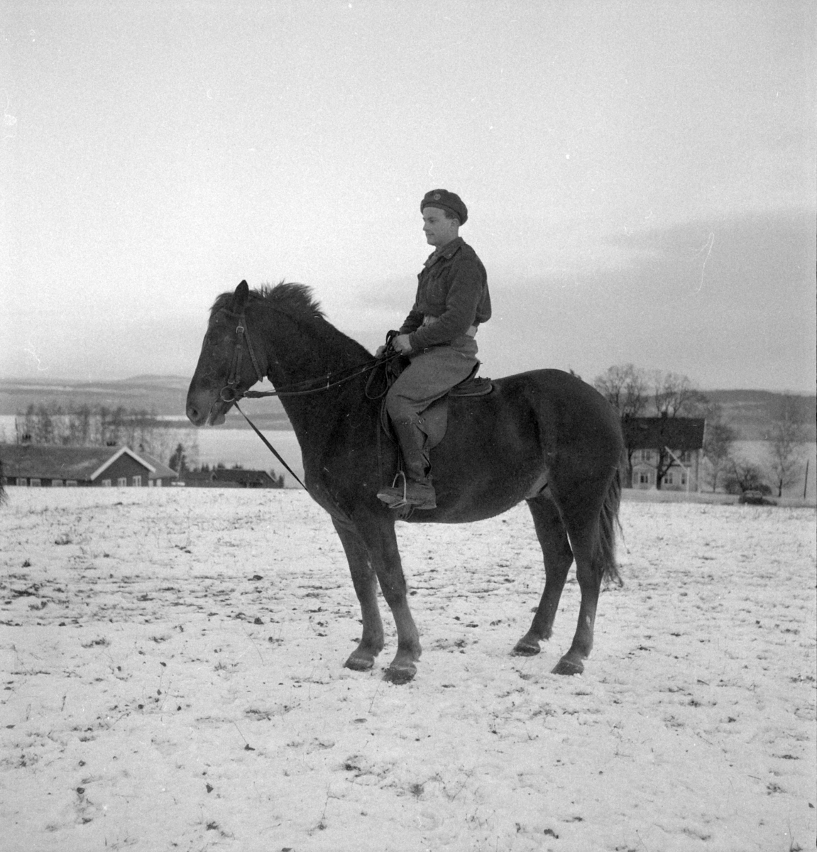 Militære, Starum ekserserplass, diverse kurs og diverse portretter, 1950. Starum. 


Bilde nr. 1: Fenrik Raassum, nr. 2: fenrik Midtbø, nr. 3: sersjant Grini, nr. 4: sersjant Mo, nr. 5: R. Løkken. 

Bilde nr. 6 til 20: Ukjente menn på hester. 
Bilde nr. 21 til 23: Ukjente menn, bilde nr. 24: Sersjant Aabel. 
Nr. 27 til 30: Ukjente menn til hest. 