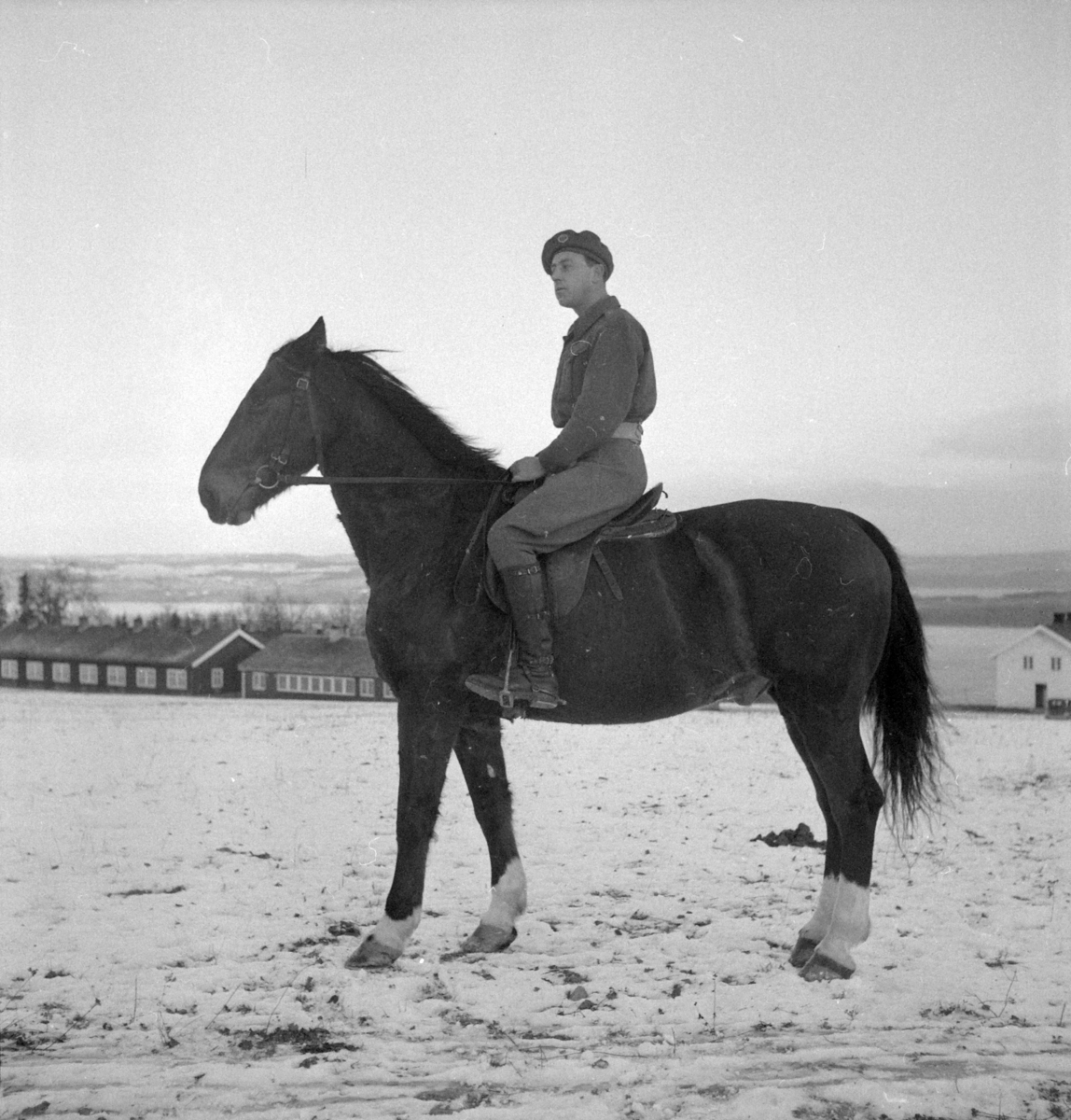 Militære, Starum ekserserplass, diverse kurs og diverse portretter, 1950. Starum. 


Bilde nr. 1: Fenrik Raassum, nr. 2: fenrik Midtbø, nr. 3: sersjant Grini, nr. 4: sersjant Mo, nr. 5: R. Løkken. 

Bilde nr. 6 til 20: Ukjente menn på hester. 
Bilde nr. 21 til 23: Ukjente menn, bilde nr. 24: Sersjant Aabel. 
Nr. 27 til 30: Ukjente menn til hest. 