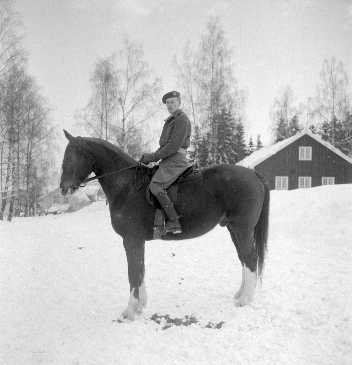Militære, Starum ekserserplass, diverse kurs og diverse portretter, 1950. Starum. 


Bilde nr. 1: Fenrik Raassum, nr. 2: fenrik Midtbø, nr. 3: sersjant Grini, nr. 4: sersjant Mo, nr. 5: R. Løkken. 

Bilde nr. 6 til 20: Ukjente menn på hester. 
Bilde nr. 21 til 23: Ukjente menn, bilde nr. 24: Sersjant Aabel. 
Nr. 27 til 30: Ukjente menn til hest. 