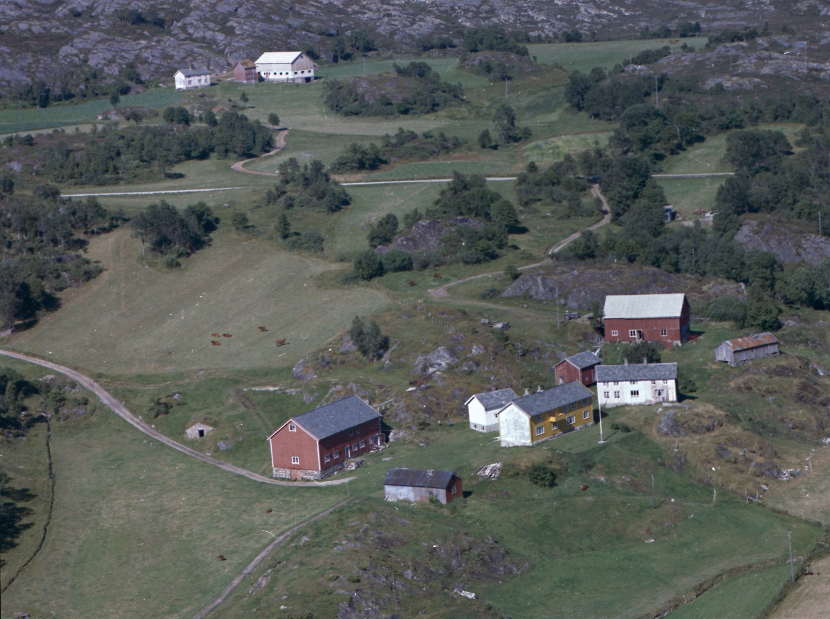 Jevik-gårdene