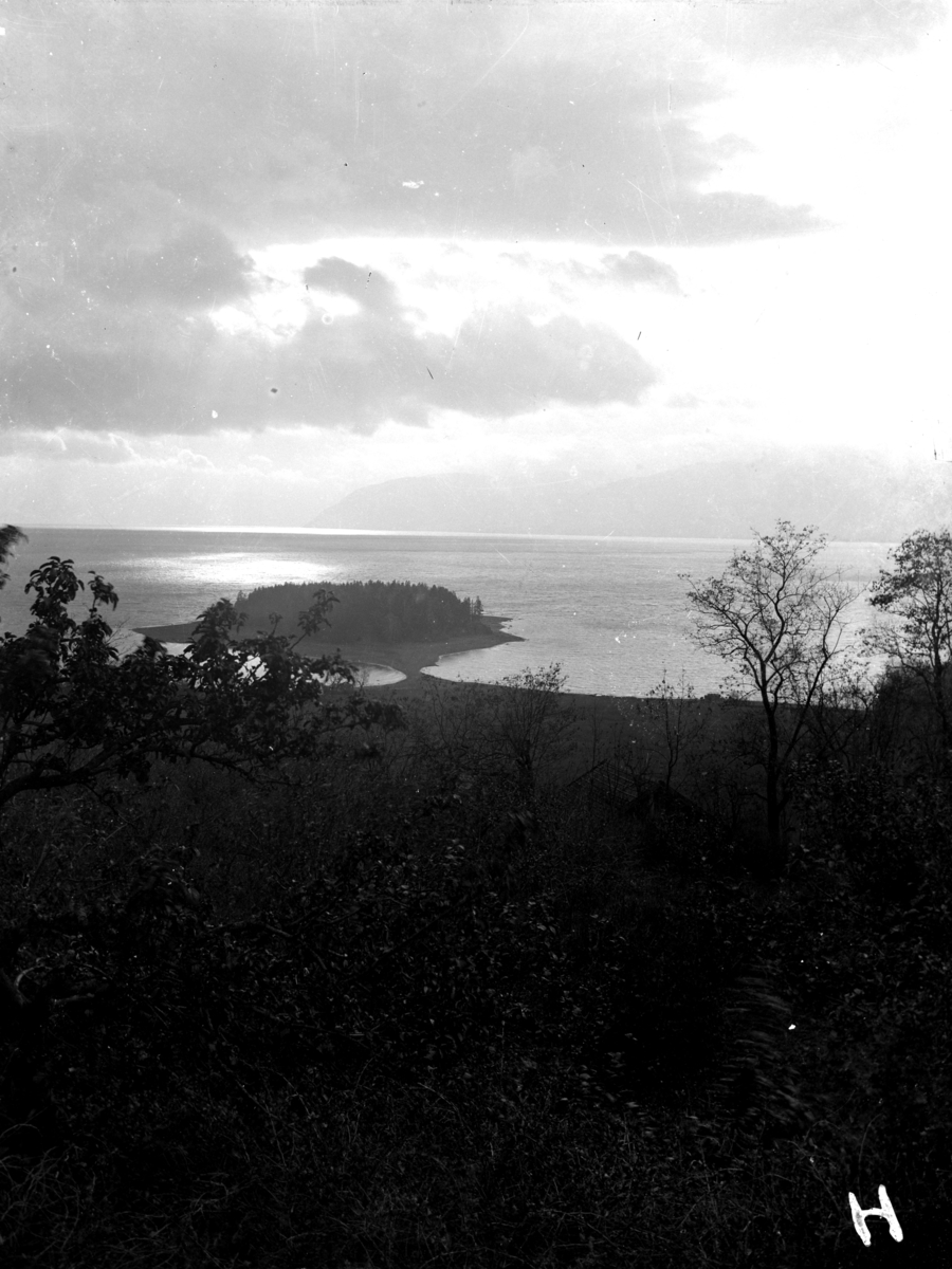 Hovinsholmen, Mjøsa. 