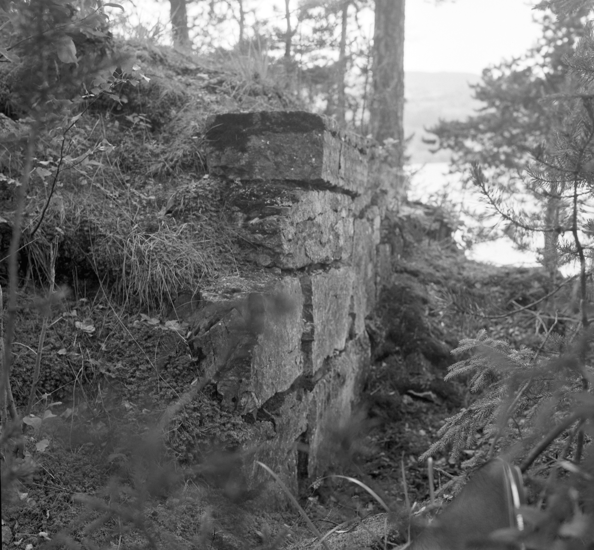 Steinsholmen, Mjøsa, Mjøskastellet, ruin, mur. 