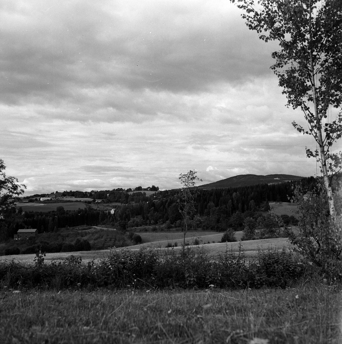 LANDSKAP JESSNES, FURNES. SE HAM-JERNPOSTEN UKJENT NR. 