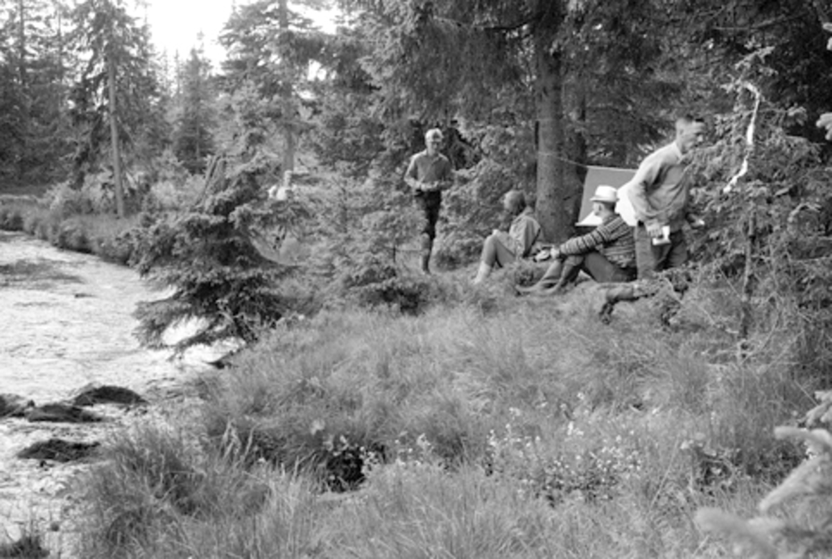 Orientering, ukjent.