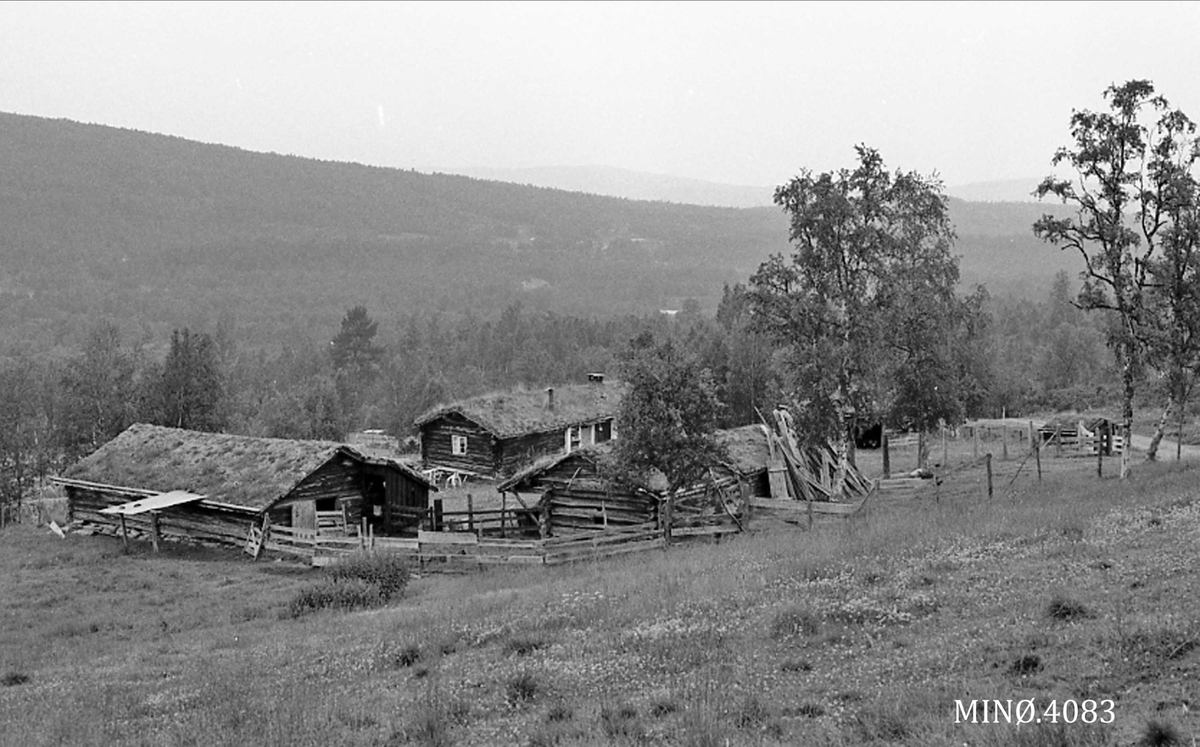 Oversiktsbilde seteranlegg, stue, fjøs, avkjøling, bu