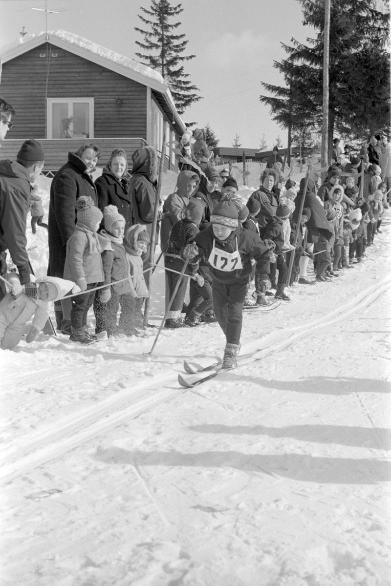 Pellervikrennet, barneskirenn, Brumunddal, 10. 03. 1968. 
Det var påmeldt 361 deltagere i Pellervikrennet i 1968. 40 funksjonærer var i virksomhet. Alle ble premiert. 