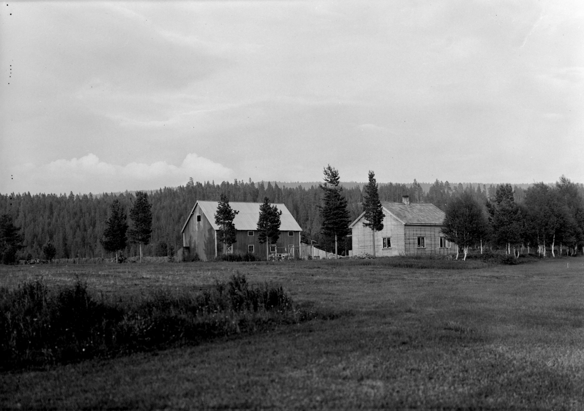 UKJENT GÅRD, VINGELEN. 
