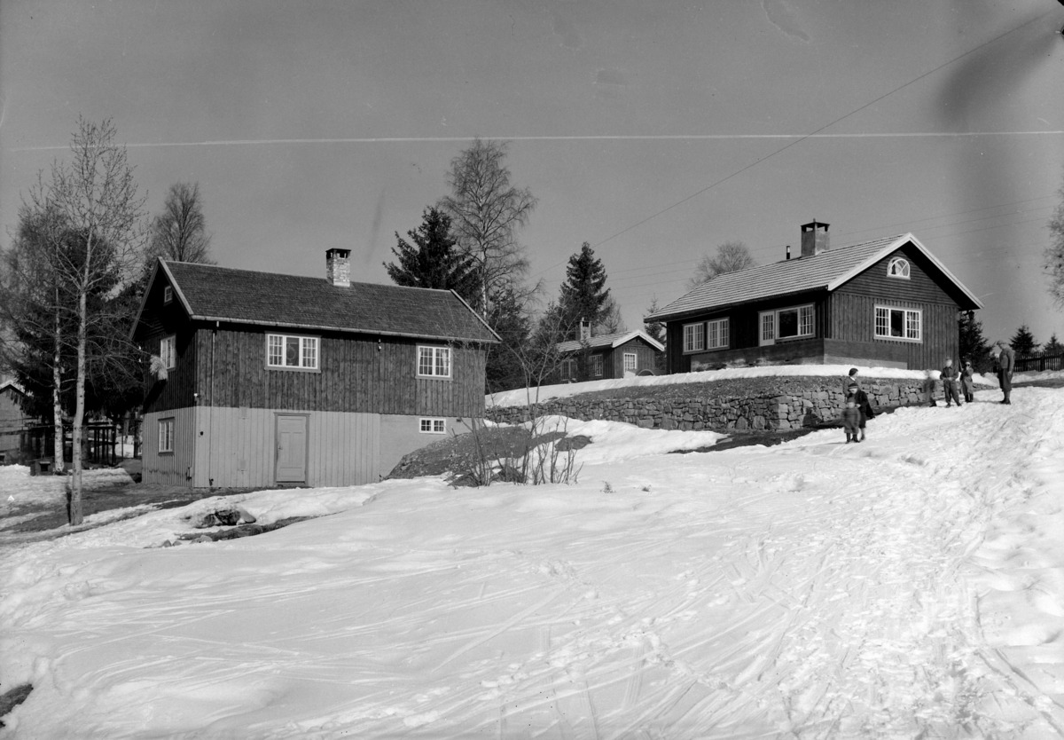 Hamar Pelsdyrfarm, Kylstad i Furnes, etablert i 1929 ved Ivar Siljeset og A. E. Dobloug, solgt til Solveig Røkke i 1939, (hun var medlem av Norges Minkavlslag, satt også i styret i 1940-1944 og Hedmark Pelsdyrslag fra 1944 til 1950),