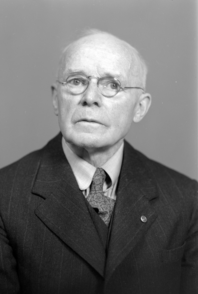 Portrett Tannlege Per Glorvigen, Hamar