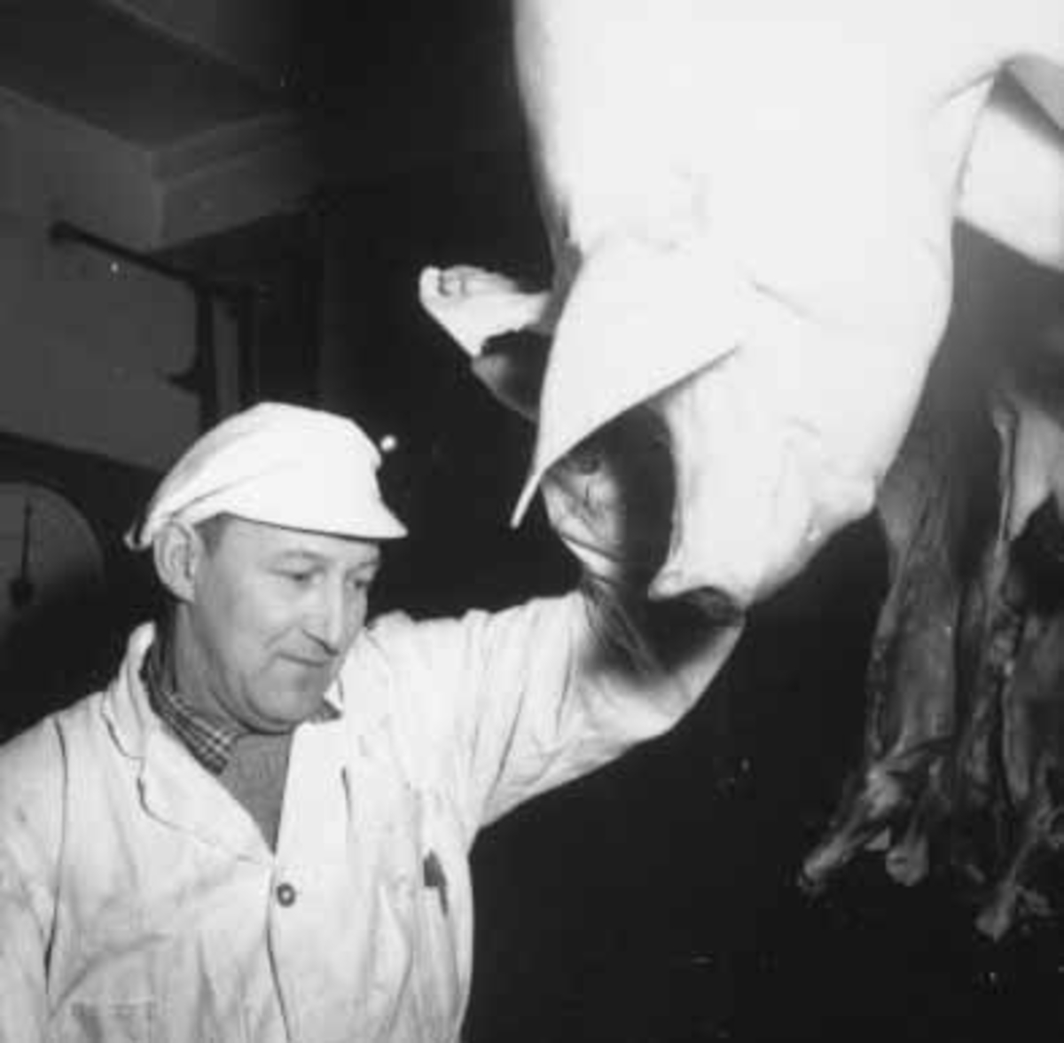 Hamar, Stangevegen 72, Hamar Slakteri A/S, slakting av gris,  