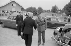 Hamar, Domkirkeodden, Hamardagen 1955, Hamar bispestol 800 å