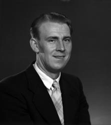 Ringsaker, portrett forfatter Alf Prøysen,