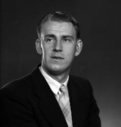 Ringsaker, portrett forfatter Alf Prøysen,