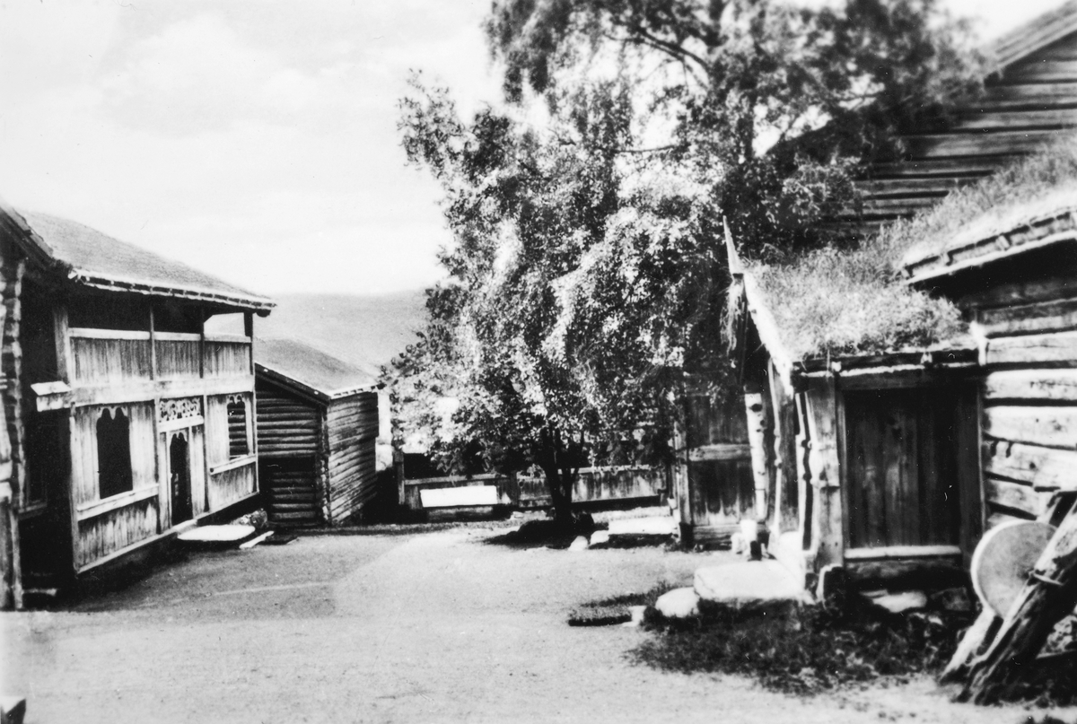 Maihaugen, inntunet på Bjørnstad