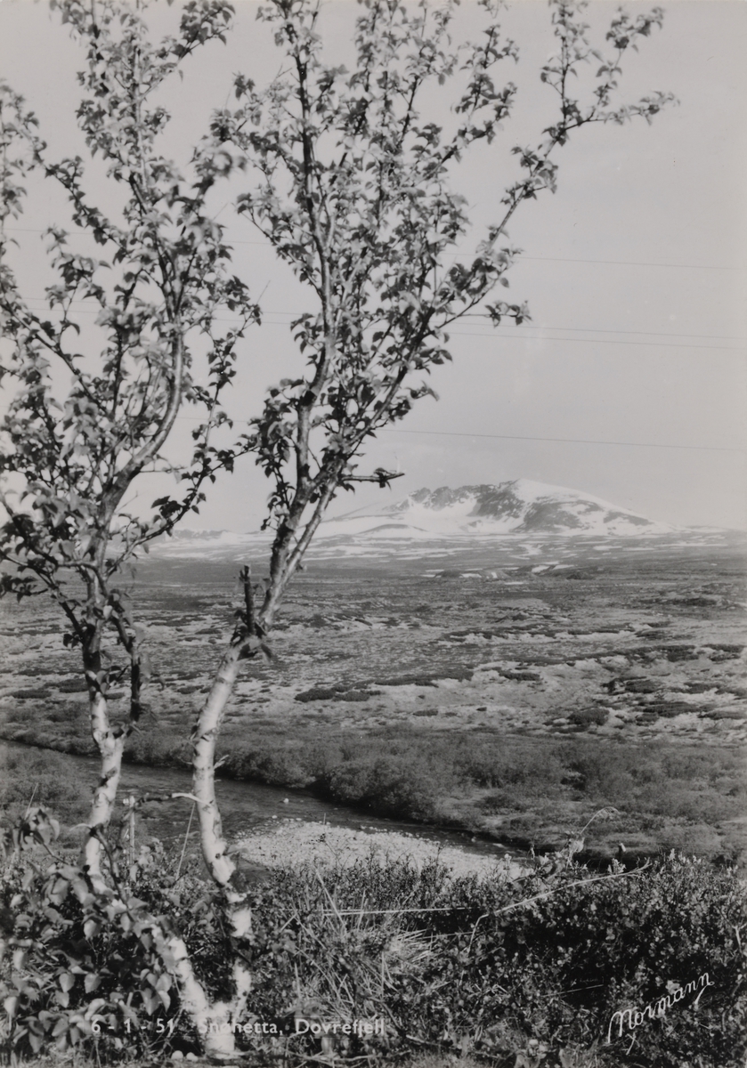 Snøhetta, Dovrefjell. 