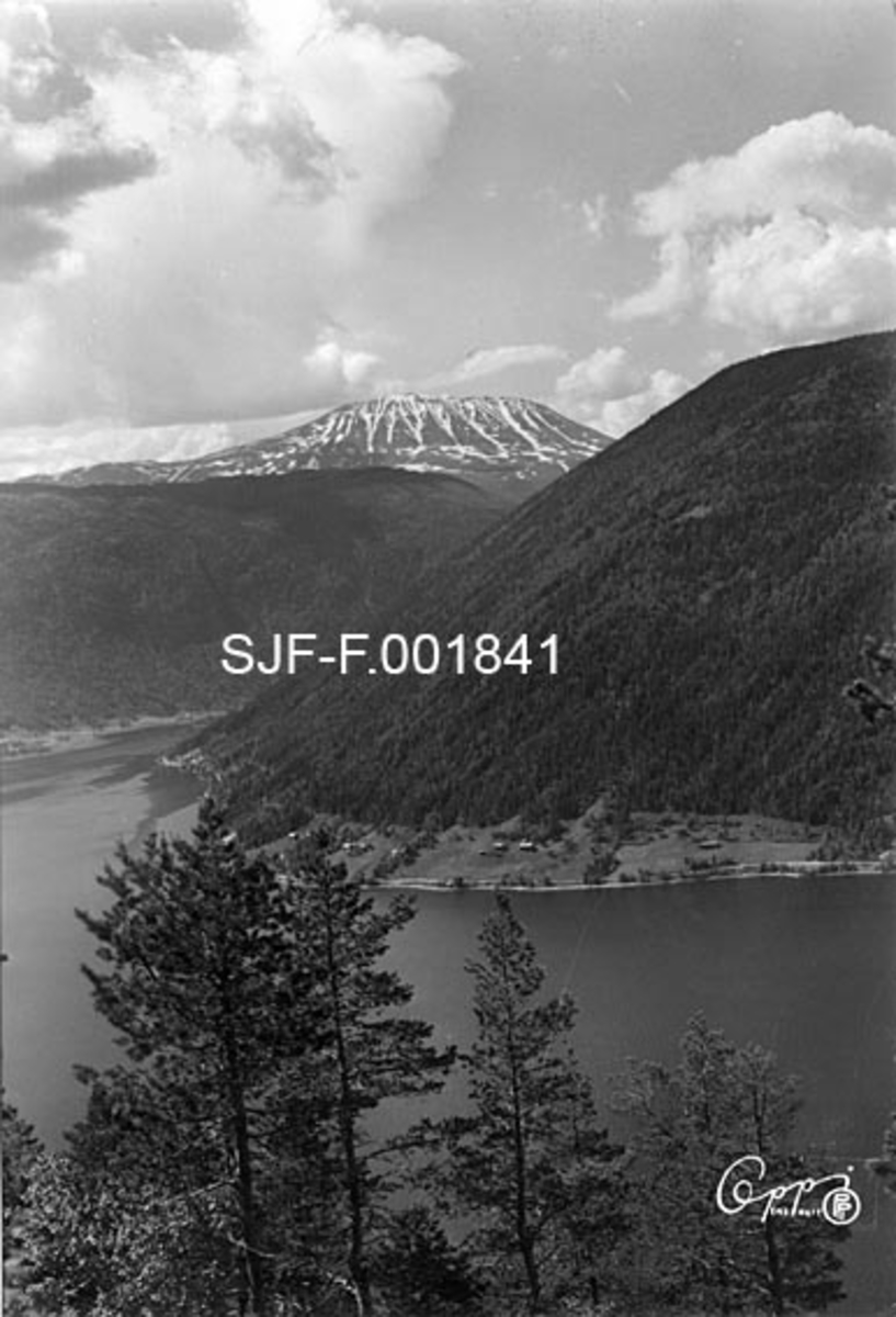 Gaustadtoppen i Telemark.  Fotografiet er tatt fra ei bratt fjellside med furu- og bjørkeskog over en innsjø, antakelig Tinnsjøen.  På motsatt side av sjøen er det også et bratt fjell med en veg og med gardsbruk nederst mot fjorden, og med skog videre oppover liene.  I bakgrunnen troner altså Gaustadtoppen, et stort, nokså rundt fjellmassiv med snø i revnene og med et høyeste punkt som rager 1883 meter over havet.  