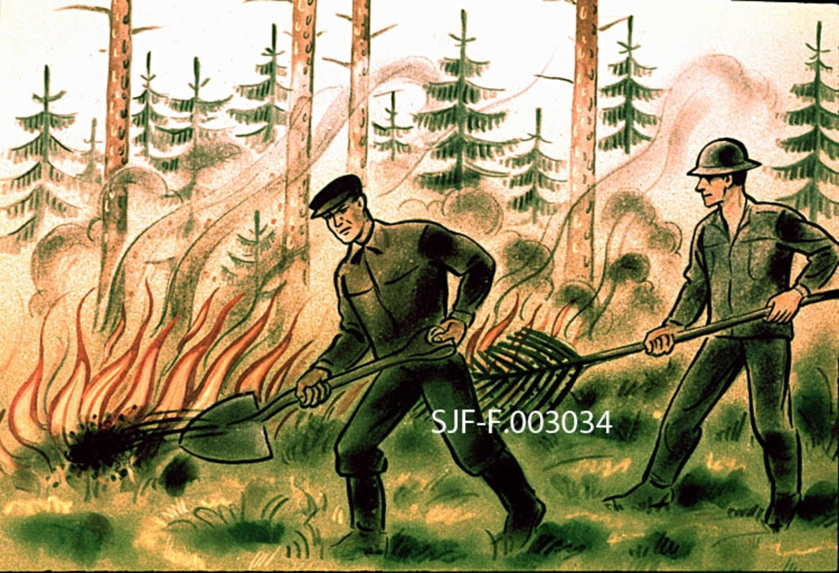 Tegning av to menn i aktivitet med handredskaper ved brannfronten under en skogbrann.  Mannen lengst til venstre kaster jord på flammene med en spade, mens han til venstre har en ”kvast”, et bladformet slagredskap, antakelig med ei vifte av stålspiler i fronten.  Dette redskapet ble brukt til å banke vekk flammer i markvegetasjonen med.  I bakgrunnen har tegneren markert at motivet er fra en skogbrann ved å tegne furulegger og unggran bak et slør av røyk. 

I tekstheftet til bildeband nr. 1161 – «Skogbrannslokking II: Slokkingsmetoder» – har Birger Strømsøe, som var fagkonsulent for denne serien, skrevet følgende tekst om dette motivet:

«5. TØRRE METODER
Ved mange skogbranner vil vanntilgangen være så mangelfull at en utelukkende må bruke tørre metoder under slokkingen.  De tørre metodene kan bestå i f. eks. : bruk av kvaster, spader til å kaste mineraljord inn i ildbandet, felling og rydding av branngater, utlegging av mineraljordstrenger, pløying av branngrøft, eller endelig vernebrenning – alt etter hvor heftig skogbrannen er.  En kombinasjon av to eller flere av de nevnte arbeidsoperasjonene vil vanligvis bli aktuelt.»