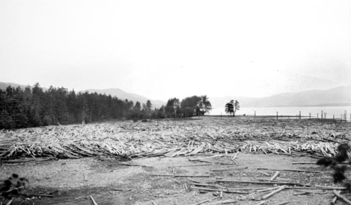 Strandparti ved Stokke lense i Biri, antakelig fotografert en vårdag i 1919, før flomvannet hadde fått vannspeilet i innsjøen til å stige.  Vi ser ei sand- eller mudderdekt strand der det ligger betydelige mengder smådimensjonert fløtingstømmer.  I bakgrunnen skimtes noen vertikale stolper som later til å være drevet ned i grunnen, antakelig komponenter i den nevnte lensa.  Til venstre i bildet ser vi en strandbredd som er bevokst med tett småskog.  I bakgrunnen til høyre skimter vi vannspeilet på Mjøsa med Ringsaklandet i bakgrunnen. 

Det vassdraget som renner ut i Mjøsa ved garden Stokke i Biri har sine øverste kilder i Bergevatnet i den østre delen av Nordre Land kommune.  Derfra renner det ei lita å som kalles Finna sørøstover gjennom et berglendt og bakkete terreng i Finndalen med retning mot Snertingdalen i Biri prestegjeld.  Her renner den etter hvert ut i den 4,5 kilometer lange Ringsjøen.  Fra utløpet av denne sjøen dreier vassdraget mer østlig under navnet Stokkeelva.  Her er elveløpet om lag 20 meter bredt, men har en nokså steinete botn.  På denne strekningen var elva fram til 1964 grense mellom Vardal og Biri kommuner.  Vassdraget har et nedslagsfelt på om lag 225 kvadratkilometer.  Fløtinga i vassdraget var lenge regulert av en kongelig resolusjon om fellesfløting av 21. oktober 1893.  I de første åra etter at denne resolusjonen ble vedtatt ble det i gjennomsnitt fløtet om lag 4 000 tylfter tømmer (48 000 stokker) i Stokkeelva, som ble samlet, sortert og buntet for videre fløting i Stokkelensa. I 1919, det året dette fotografiet ble tatt, var det innmeldt langt mer tømmer til fløting i Stokkeelva, 184 287 stokker. Nesten alt dette virket ble kjøpt av bedrifter som lå i Mjøsområdet.