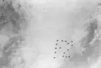 Flyguppvisning vid Flygets dag på F 2 Hägernäs, 1945