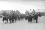 Regementet till häst uppställt på kaserngården söder stallarna för avlämning före sommarmarschen 1931.