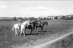 Kan vara Ingrid och Peter samt sonen Peter född 1926. Ryttaren i mitten förefaller vara minst 15 år. Bilden är i så fall tagen mellan 1941-47 i Skövde. Uppgiftslämnaren ryttm. Cleas Lewenhaupt, Claesborg. Kortet är taget på fältet söder K 3 kasern.