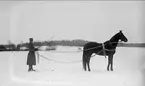 Löjtnant Sven von Essen utövar tolkning på skidor efter egna tjänstehästen/tävlingshästen Flanagan.