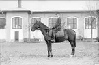 Livhusar i uniform m/1895 med tilldelad stamhäst utanför ridhuset.