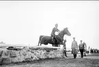 Skövde fältrittklubbs tävlingar 1934. Prishoppning på prishoppningsbanan öster om kasern.