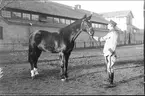 Livhusar i uniform m/1910 med stamhäst, öster om skvadronstallet