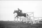 Terränghoppning/banhoppning, kavalleriofficersaspirantskolan 1934-35.