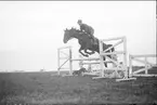 Terränghoppning/banhoppning, kavalleriofficersaspirantskolan 1934-35. Obs! se hunden på det låga hindret.